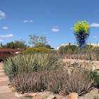 Taliesin West gallery item thumbnail 7